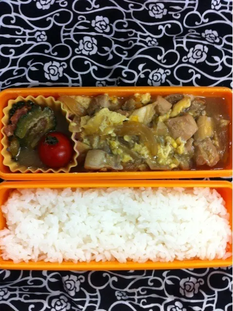 4月19日  お弁当|せーらさん