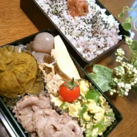 ４月１９日のお弁当