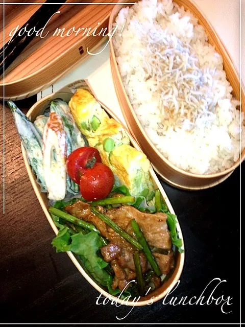 今日のお弁当♪|トヨノリさん