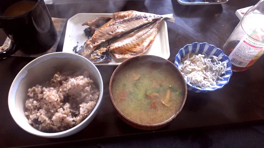 アジの干物|まぐろさん