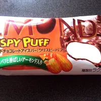 Snapdishの料理写真:アーモンドチョコレートアイスバー|akiさん