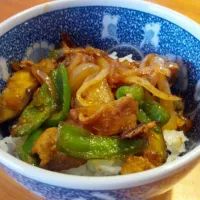 Snapdishの料理写真:豚肉と茄子の味噌炒め丼|kinokodonさん