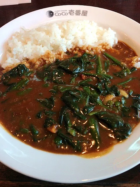 ほうれん草チーズカレー|安宅正之さん