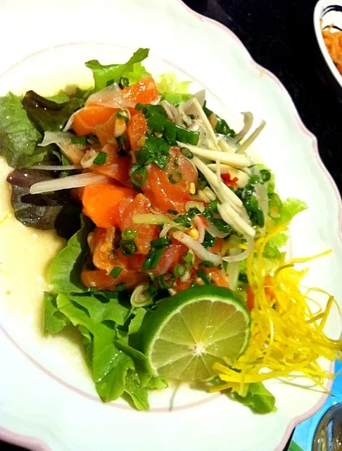 Salmon Salad|YOLOさん