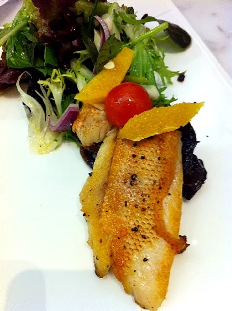 Pan fried red snapper with salad|mikko tanさん