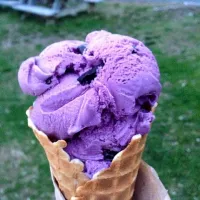 Black Raspberry Chip Fro Yo in a freshly made waffle cone 👌|Jackie Murphyさん