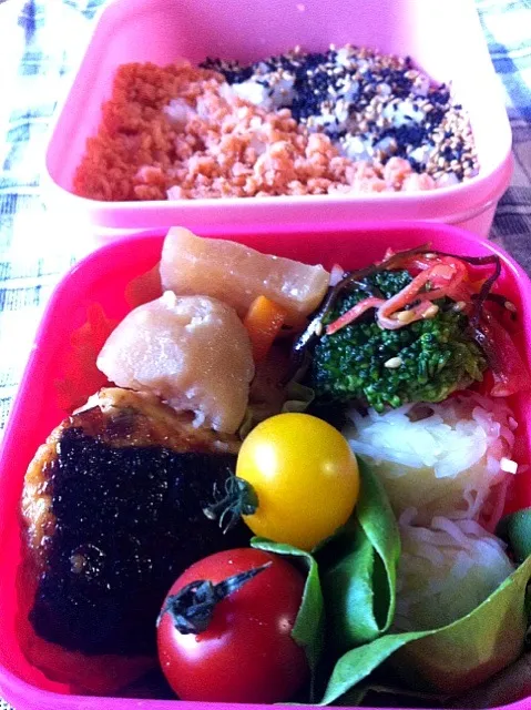 Snapdishの料理写真:4月22日のお弁当。|keroさん