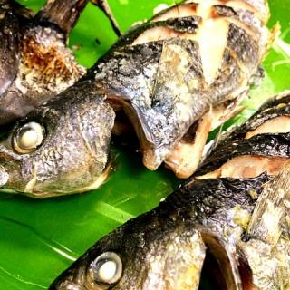 じいじのタカベ焼き つきっズ料理教室 Snapdish スナップディッシュ Id v1za