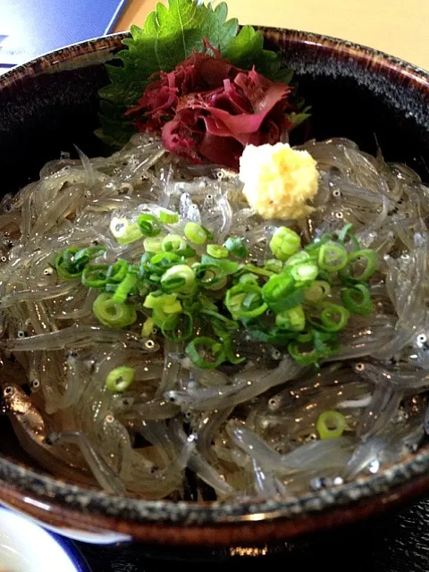 生しらす丼|沼澤宏幸さん