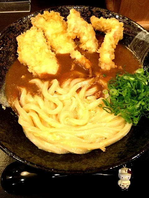 かしわ天カレー釜玉！＠讃州2013#135|大阪カレー部長さん