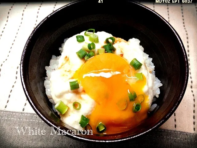 Snapdishの料理写真:シンプルに✨とろろご飯🍚卵黄乗っけてみました😋|Maamiさん