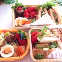 ピクニックお弁当*°|のんさん