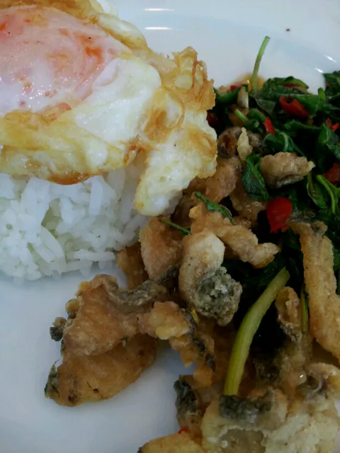 ข้าวกะเพราปลาช่อน+ไข่ดาว|NeNe'さん