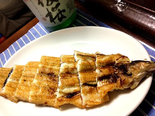 Grilled Eel. serve with Wasabi. useing Hamamatsu Eel. very nice.                浜松産うなぎの白焼き|yorikoさん