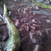 Snapdishの料理写真:Dinuguan|dianaさん