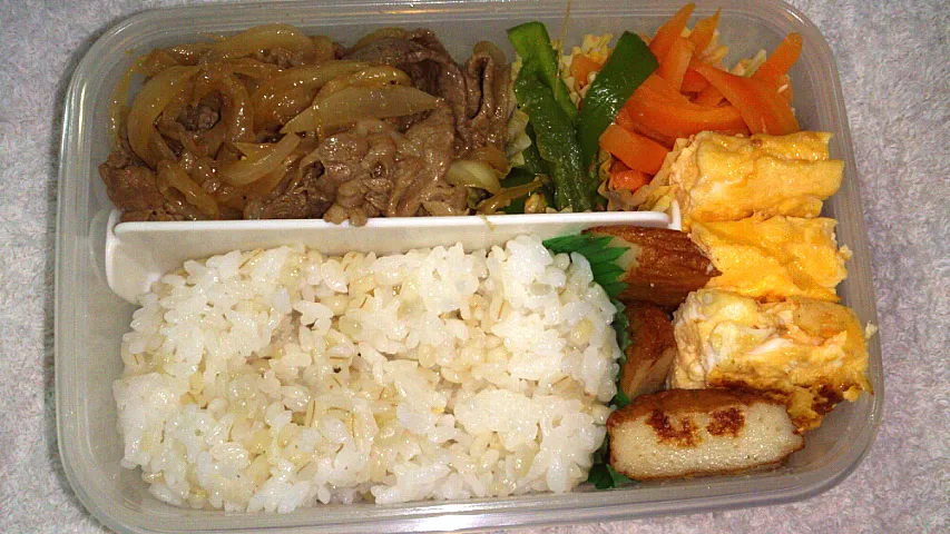 旦那さん弁当|ひまわりさん