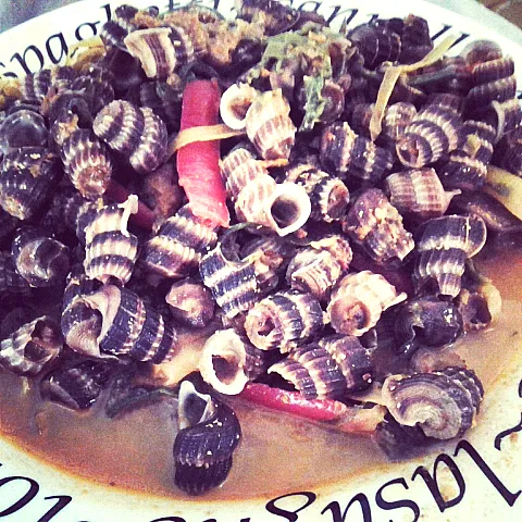 Snapdishの料理写真:Siput Lemak Cili Api|surinaさん