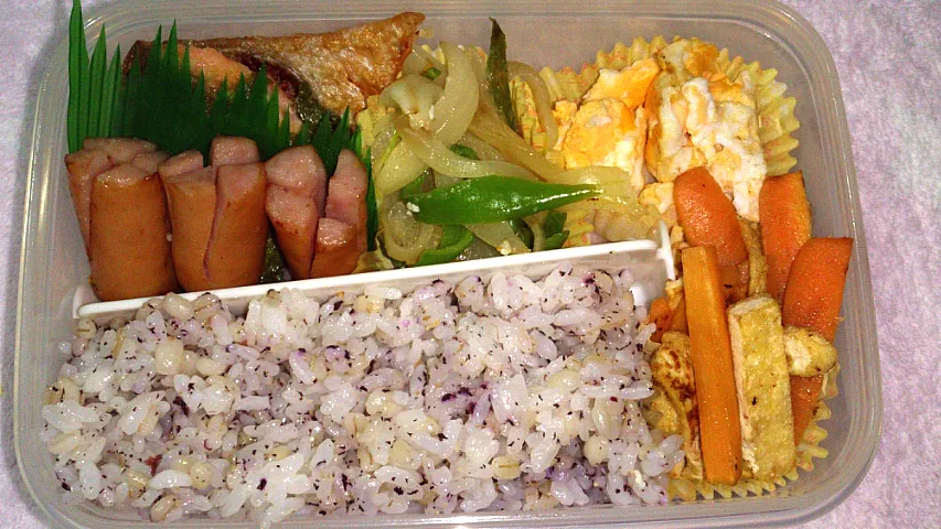 旦那さん弁当|ひまわりさん