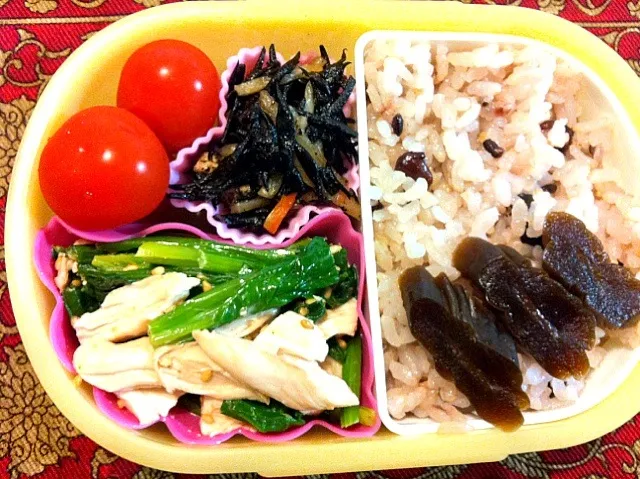 鶏ささみとほうれん草のマヨごまとヒジキの煮物弁当|もえさん