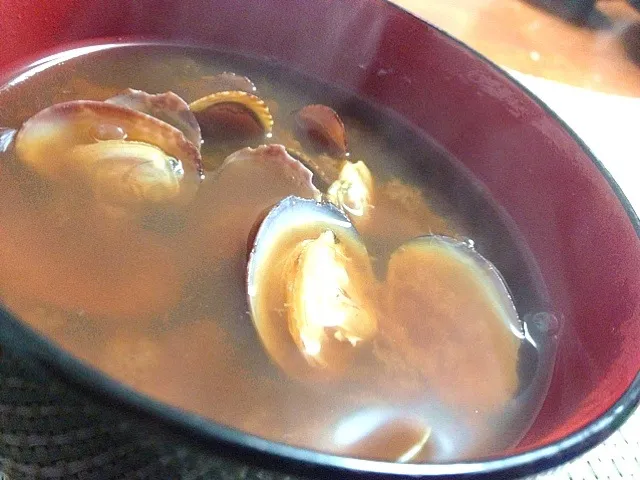 愛知県産あさりの赤だし Akadashi miso soup with asari clam|まる(丸大豆)さん