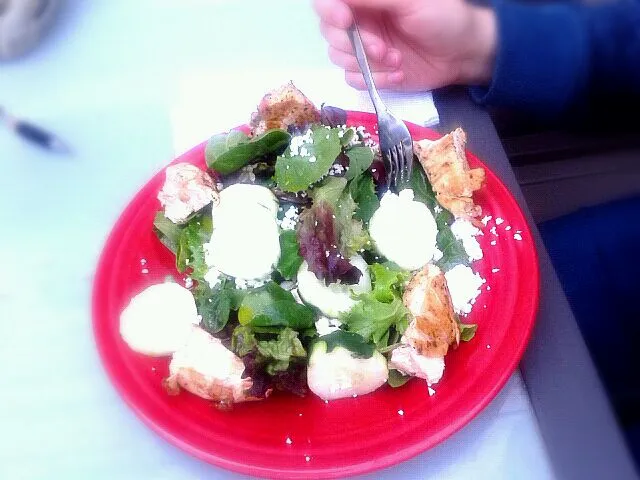 grilled.chicken greek salad|ryan goldenさん