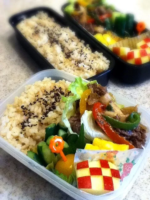 Snapdishの料理写真:4/25娘&息子のお弁当|naoさん