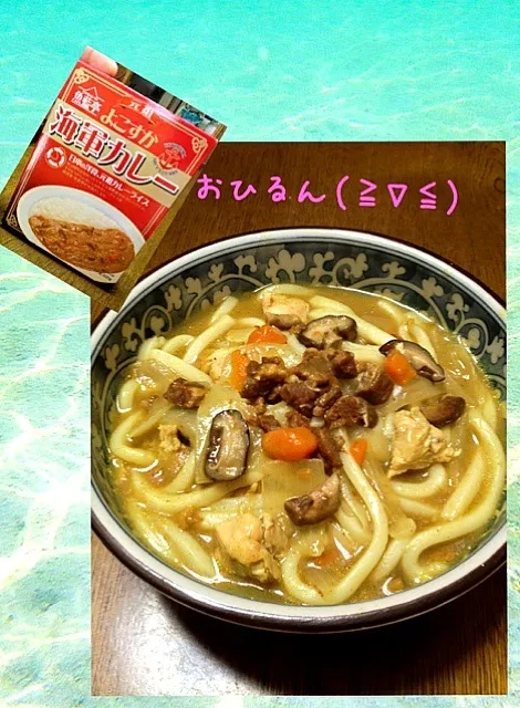 ⚓横須賀海軍カレーで和風カレーうどん❤|おひるごはんさん