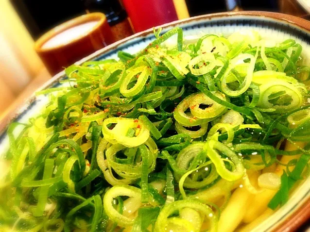 Snapdishの料理写真:かけうどん|おかっぴーさん