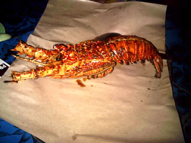 Snapdishの料理写真:Mini Lobster|nitanataprawiraさん