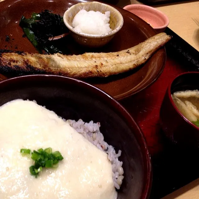 しまほっけの炭火焼定食…五穀米のとろろご飯大盛りで！|shuさん