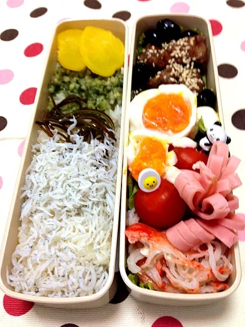 Snapdishの料理写真:中学生男子お弁当‼|Takayukiさん