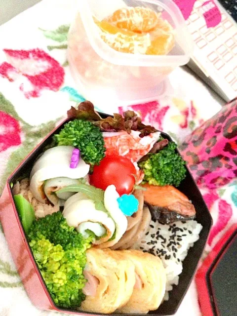 Snapdishの料理写真:焼き魚会社お弁当♪|桃実さん