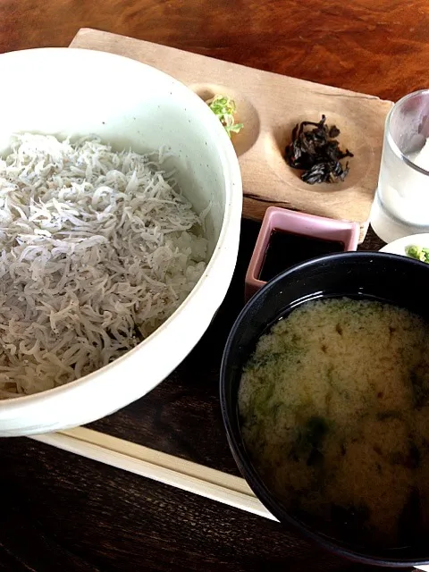 しらす丼|川口さん