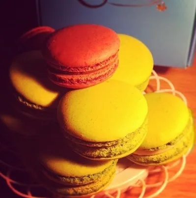 Macaron|tatamiさん