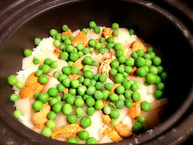 海胆豆土鍋御飯|炊かれたいオトコ おこん 小栁津さん