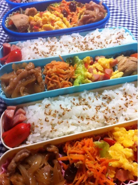 Snapdishの料理写真:今日の弁当|yoneさん