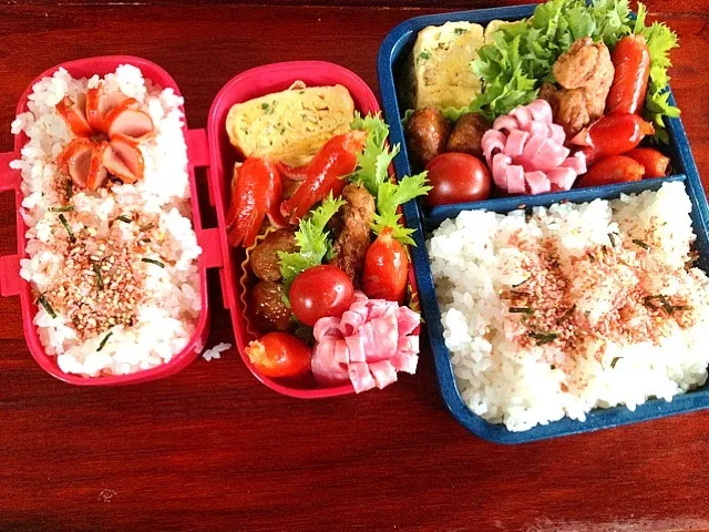 Snapdishの料理写真:部活(テニス)＆パパ弁当4/27|marinaさん