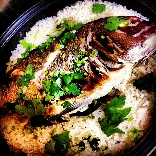 Snapdishの料理写真:タジン鍋で鯛めし/boiled rice with sea bream|レイさん