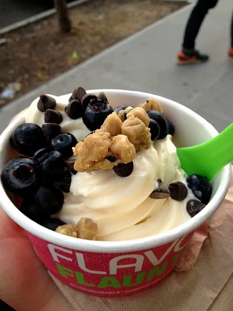 Snapdishの料理写真:Frozen yoghurt|Marina Lesauvageさん