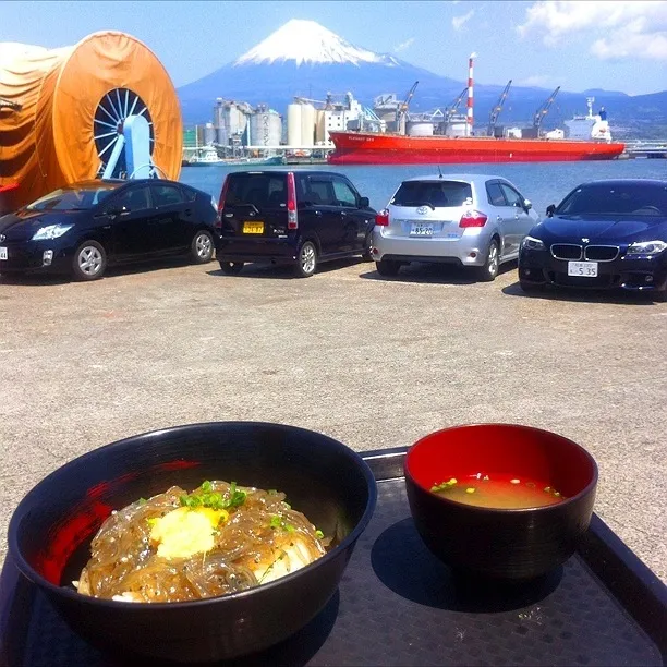 赤富士丼@田子の浦漁協食堂|ティアラさん