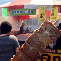 鹿児島黒豚 三清屋 ジャンボ串|とっしーさん