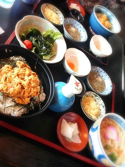 うに丼|あきらさん