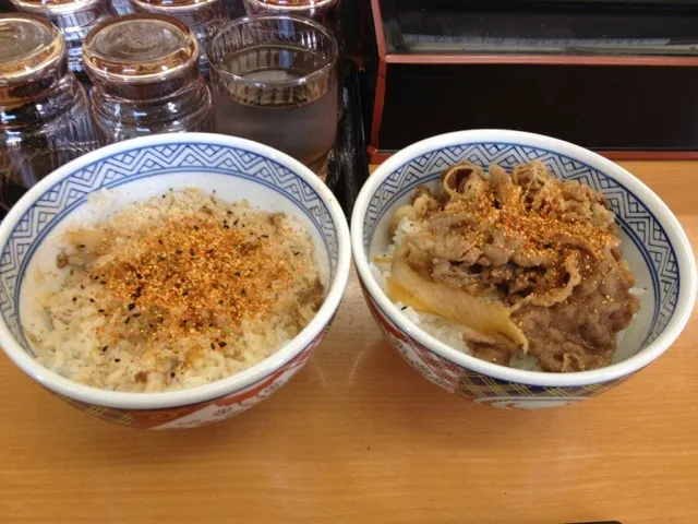 Snapdishの料理写真:牛丼並＋ライス|toru.ohkawaさん