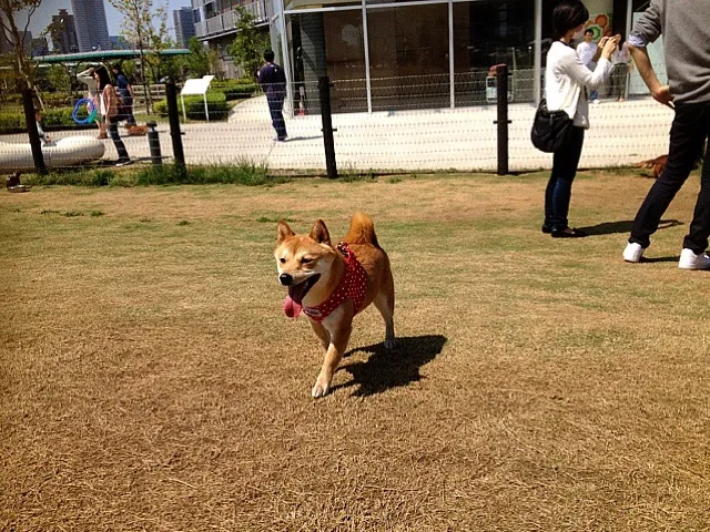 Snapdishの料理写真:|きよさん