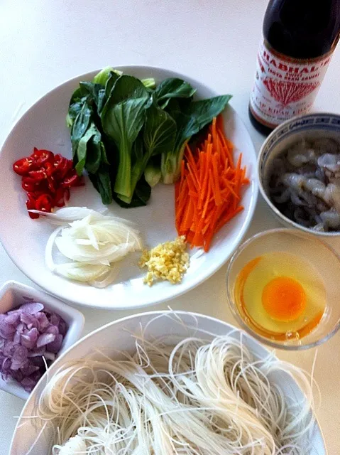 Ingredients for Balinese Bee Hoon Goteng|karen limさん