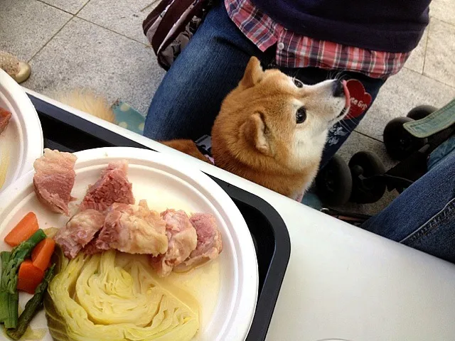 Snapdishの料理写真:|きよさん