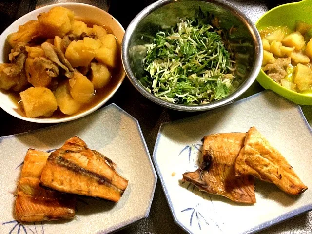 肉じゃが、水菜とじゃことねぎのご飯のとも、ます|たびもかさん