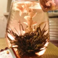 Assorted blooming tea🌸ふわっと花咲く工芸茶☕茉莉七仙女