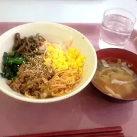 社食 ビビンバ|やすさん