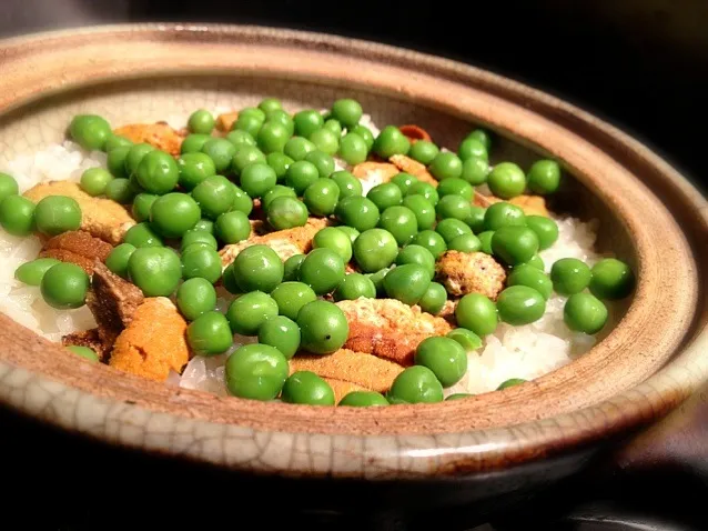 海胆豆土鍋御飯|炊かれたいオトコ おこん 小栁津さん